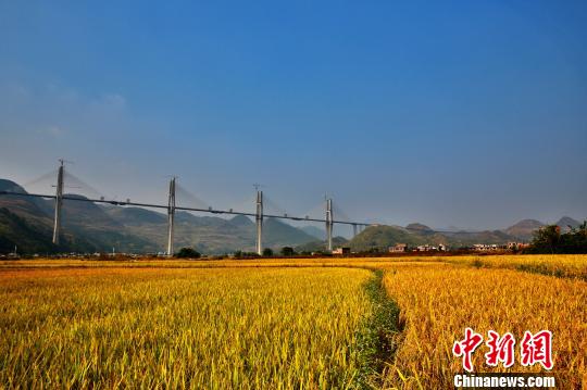 赤石特大橋 江鉆 攝